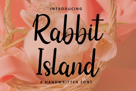 Rabbit Island: A Handwritten Font That Feels Like Home