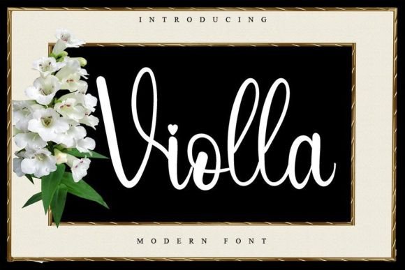 Violla: A Beautiful Script Font